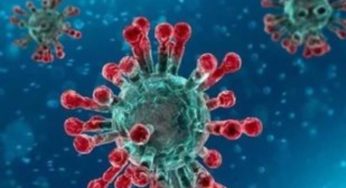 Το στέλεχος Delta επικρατεί στην Ελλάδα