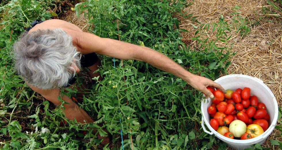 Ακρίβεια: 30% η μέση αύξηση στο κόστος αγροτικής παραγωγής