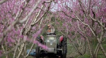 Με διπλή γλώσσα η κυβέρνηση απέναντι στους αγρότες