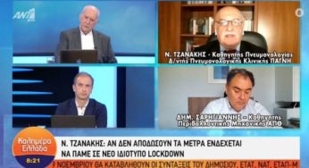 Αστυνομικοί ελέγχουν πιστοποιητικά όπως «ο λύκος φυλάει τα πρόβατα»
