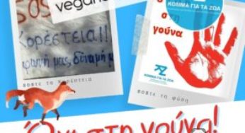Το ελληνικό Κόμμα για τα Ζώα και το δανέζικο Veganerpartiet ενώνουν τη φωνή τους με τους κατοίκους της Καστοριάς, για μια οικονομία χωρίς γούνα