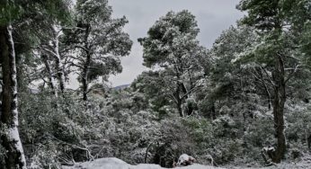 Επελαύνει η κακοκαιρία «Ελπίδα» – Χιόνια και στην Αττική- Που έχει διακοπεί η κυκλοφορία