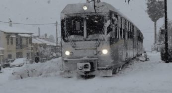 Λιβαδειά: Εννέα οι τραυματίες στο σιδηροδρομικό ατύχημα – Με μεγάλη καθυστέρηση η επιχείρηση απεγκλωβισμού