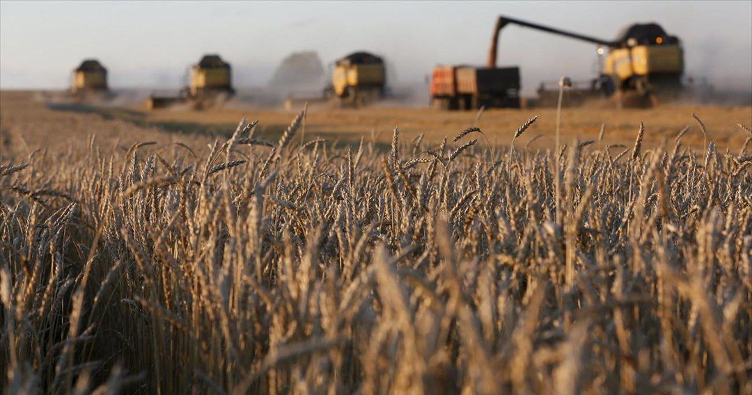 FAO: Ο πόλεμος στην Ουκρανία μπορεί να εκτινάξει έως 20% τις τιμές τροφίμων
