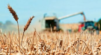 Επισιτιστικός εφοδιασμός: Περισσότερες ενέργειες της ΕΕ ζητά το Ευρωκοινοβούλιο