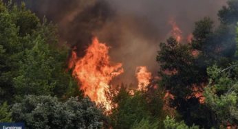 Υπό έλεγχο η φωτιά στη Δεσκάτη Γρεβενών