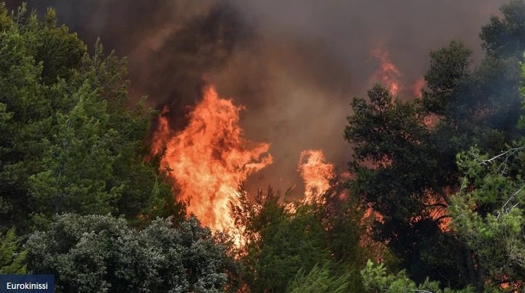 Πυρκαγιά σε δασική έκταση μετά τα διόδια Ελευσίνας