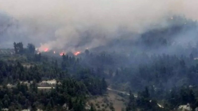 Υπό μερικό έλεγχο η πυρκαγιά σε δασική έκταση στην Μόλα Καλύβα Χαλκιδικής