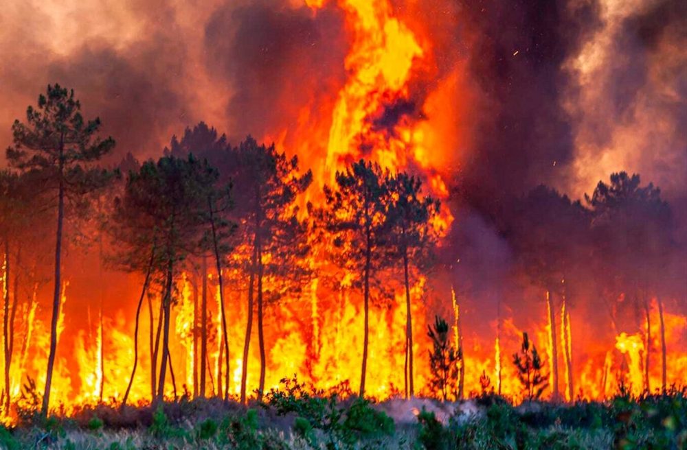 Μαίνεται η πυρκαγιά στη Ρόδο – Χωρίς ενιαίο ενεργό μέτωπο οι φωτιές σε Δυτ. Αττική και Λουτράκι