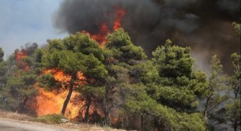 Σε εξέλιξη η φωτιά στα Βατερά Λέσβου – Εξαιρετικά δύσκολη η πυρκαγιά στο δάσος Δαδιάς