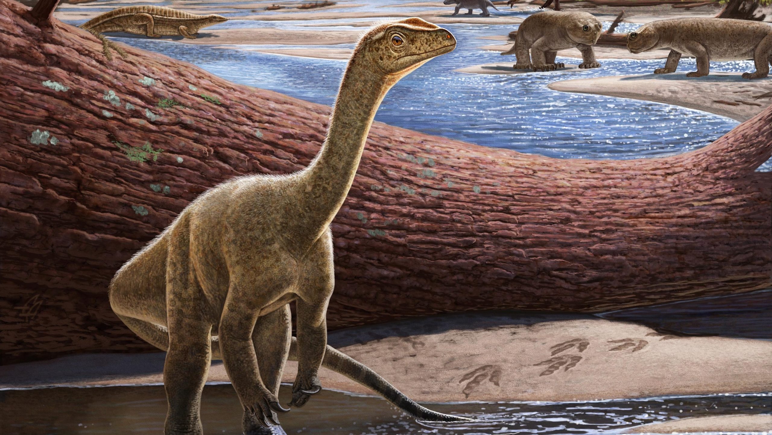 Mbiresaurus raathi δεινόσαυρος