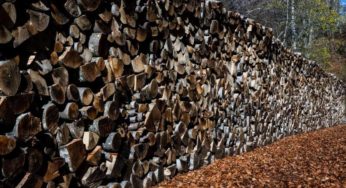 Υπουργείο Περιβάλλοντος και Ενέργειας: Οι κάτοικοι των ορεινών περιοχών θα μπορούν να κόβουν τα δικά τους ξύλα