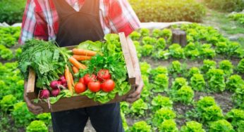 Ψευτοδίλημμα η επιλογή ανάμεσα στην επισιτιστική ασφάλεια και την πράσινη μετάβαση