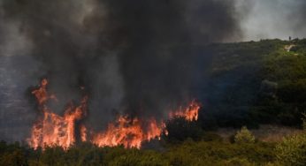 Επίσπευση και απλούστευση διαδικασιών για αποζημιώσεις από φυσικές καταστροφές