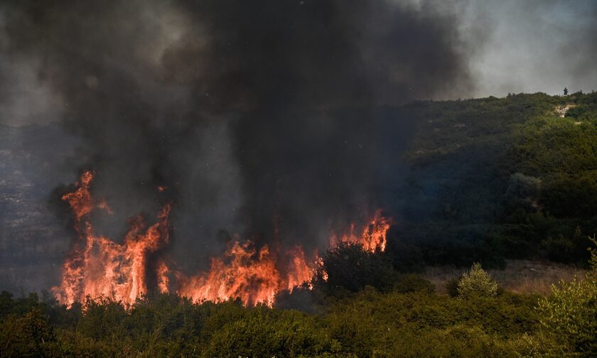Μεγάλη η έκταση της φωτιάς σε Νέα Αρτάκη και τα Ψαχνά Ευβοίας