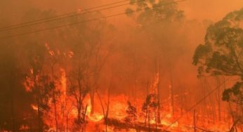 44 πυρκαγιές εκδηλώθηκαν το τελευταίο 24ωρο