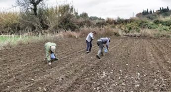 Ετοιμάζει μαζική νομιμοποίηση μεταναστών η Κυβέρνηση – Τι σηματοδοτούν οι δηλώσεις Αυγενάκη και Καιρίδη